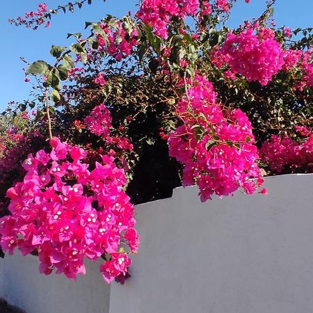 Bed and Breakfast La Casa Del Nonno Milazzo Exterior foto
