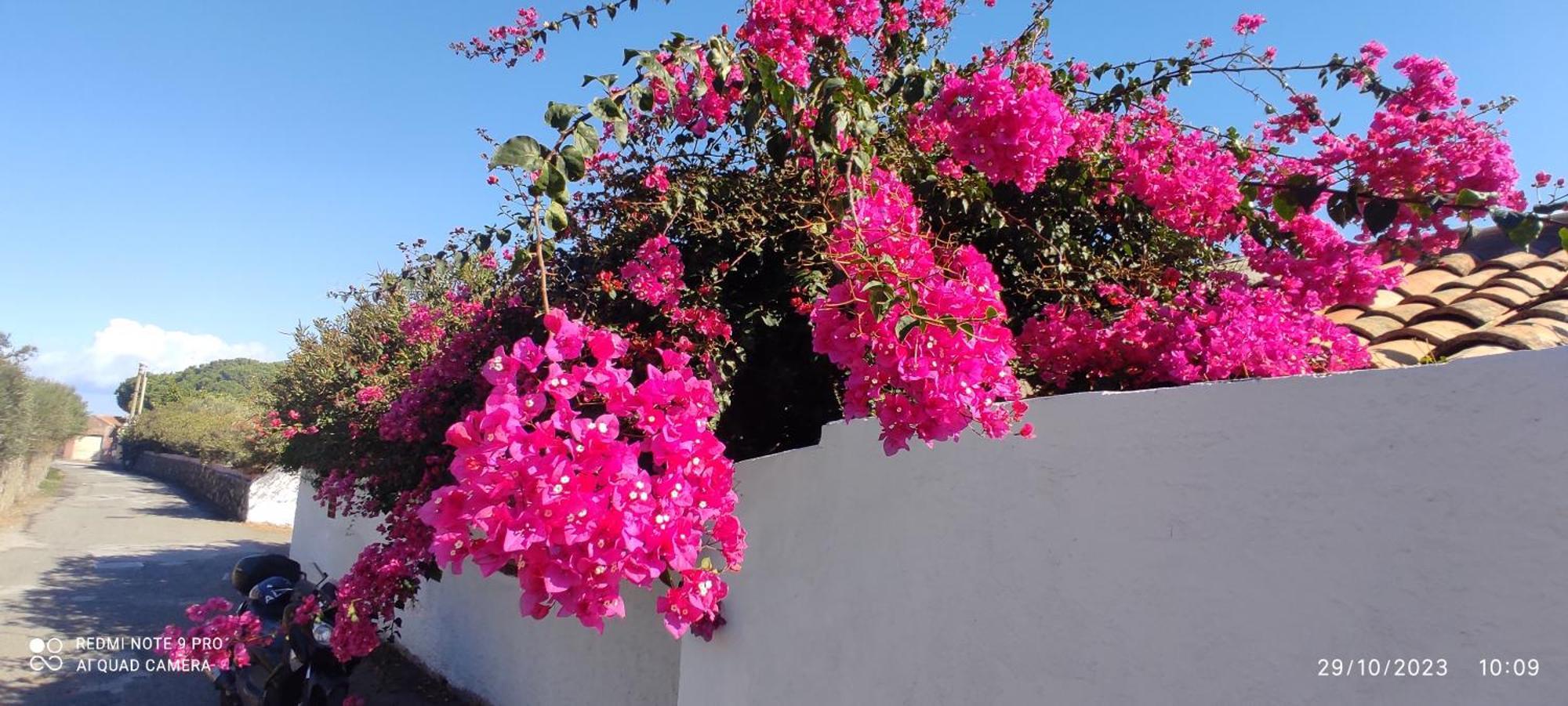 Bed and Breakfast La Casa Del Nonno Milazzo Exterior foto