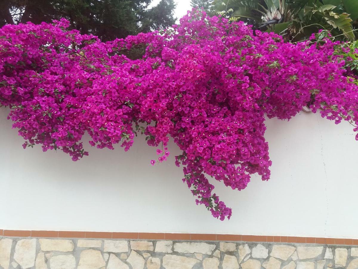Bed and Breakfast La Casa Del Nonno Milazzo Exterior foto